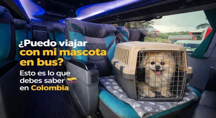 ¿Puedo viajar con mi mascota en bus? Esto es lo que debes saber en Colombia